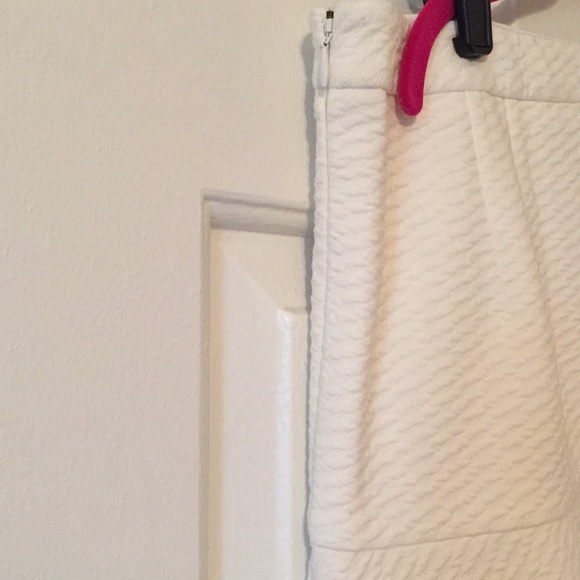 NWT LOFT cream lined size zip skirt. Size L tall. - Picture 3 of 5